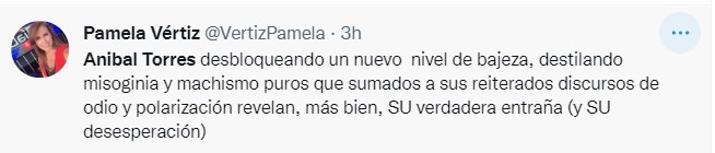 Pamela Vertiz se pronuncia ante ataques machistas de Aníbal Torres contra Sol Carreño.