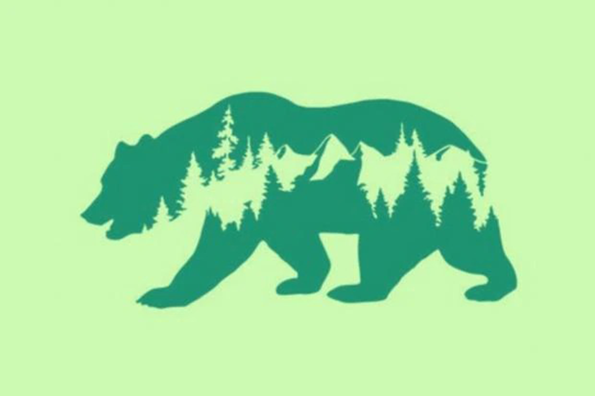 En esta imagen hay dos opciones: el bosque y el oso. ¿Qué ves primero?. Foto: MDZ Online.