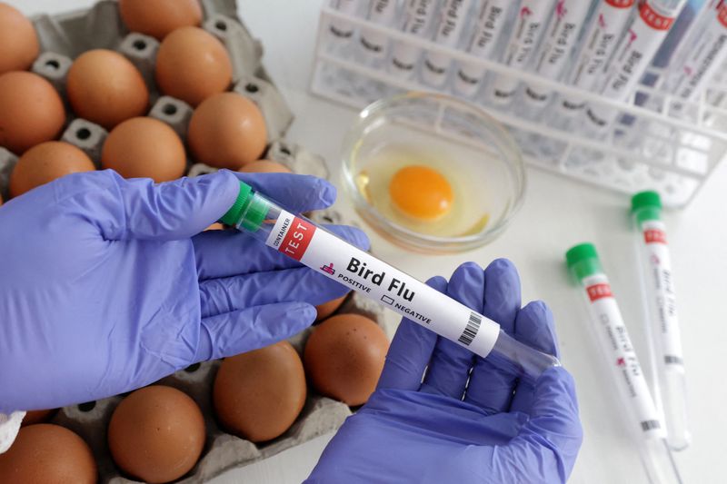 Foto ilustrativa de una persona sosteniendo un tubo de ensayo con una etiqueta de gripe aviar Ene 14, 2023. REUTERS/Dado Ruvic/