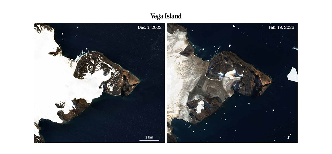 Imágenes satelitales de la isla Vega (Washington Post)