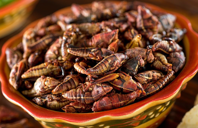 chapulines