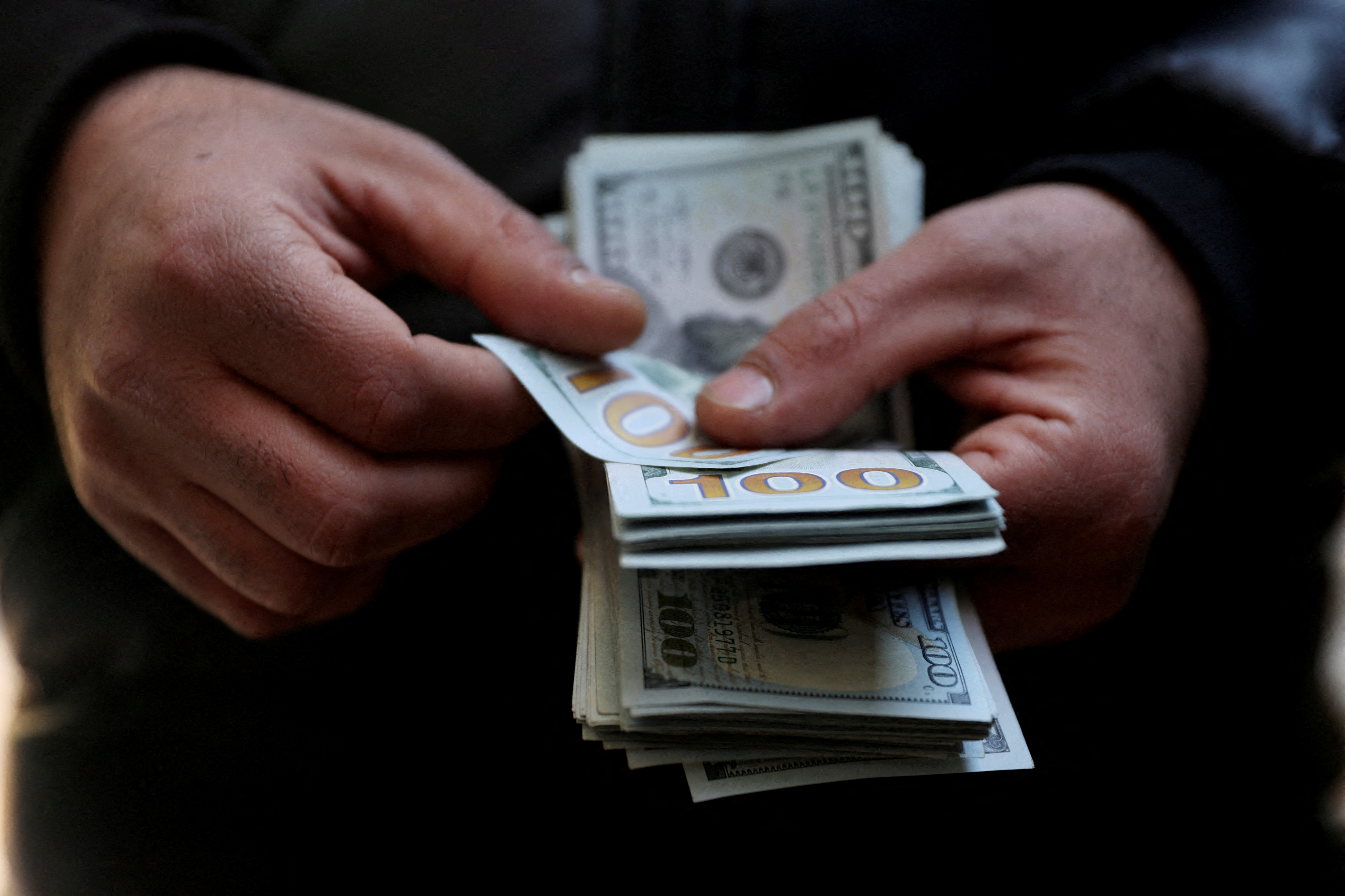 Una peste felina intriga a Tailandia: murieron 72 tigres en 10 días