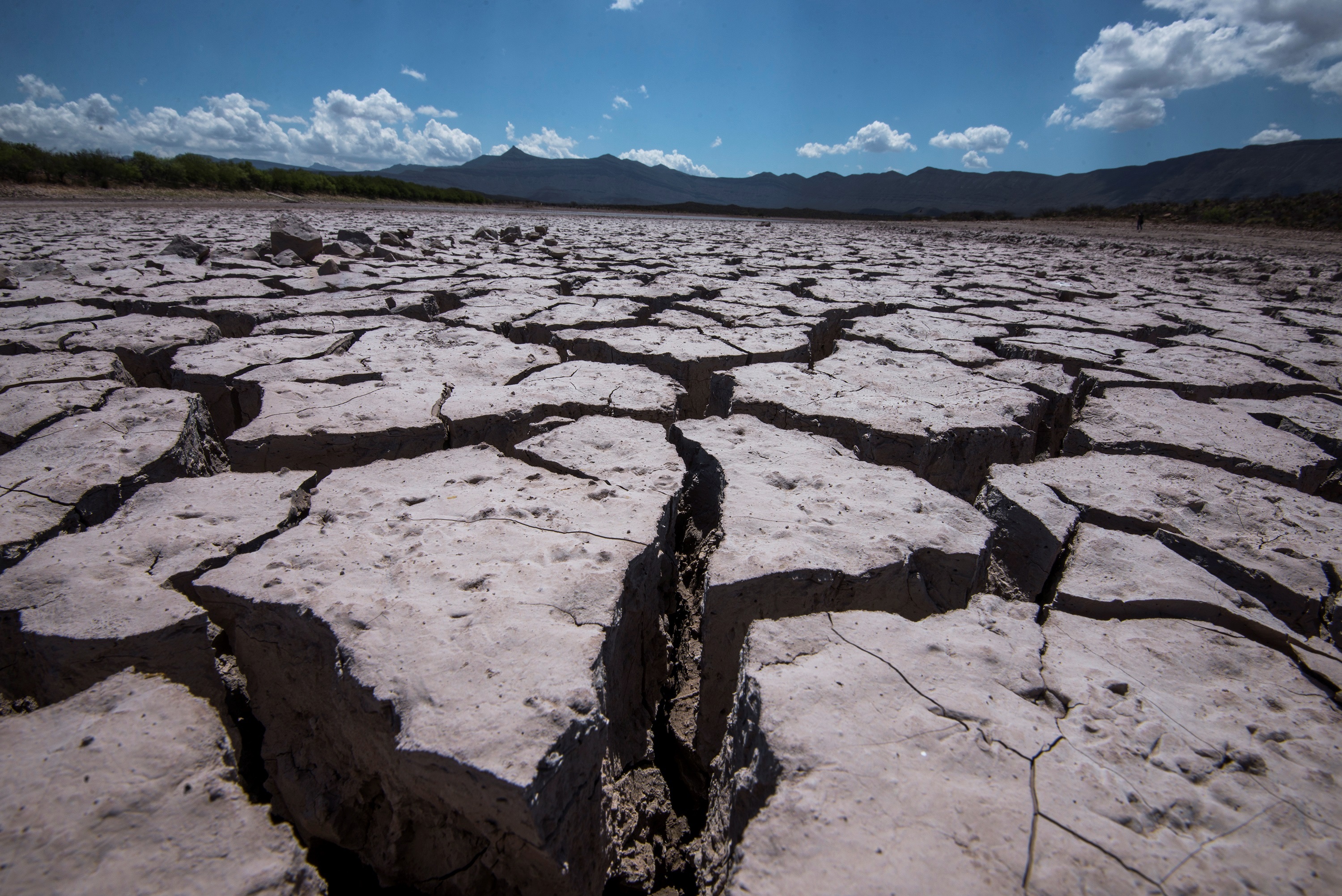 Fotografía de archivo donde se observan las afectaciones por la sequía en la comunidad de Rincón Colorado, en el municipio de General Cepeda, en Coahuila, México (Foto: EFE/ Miguel Sierra)
