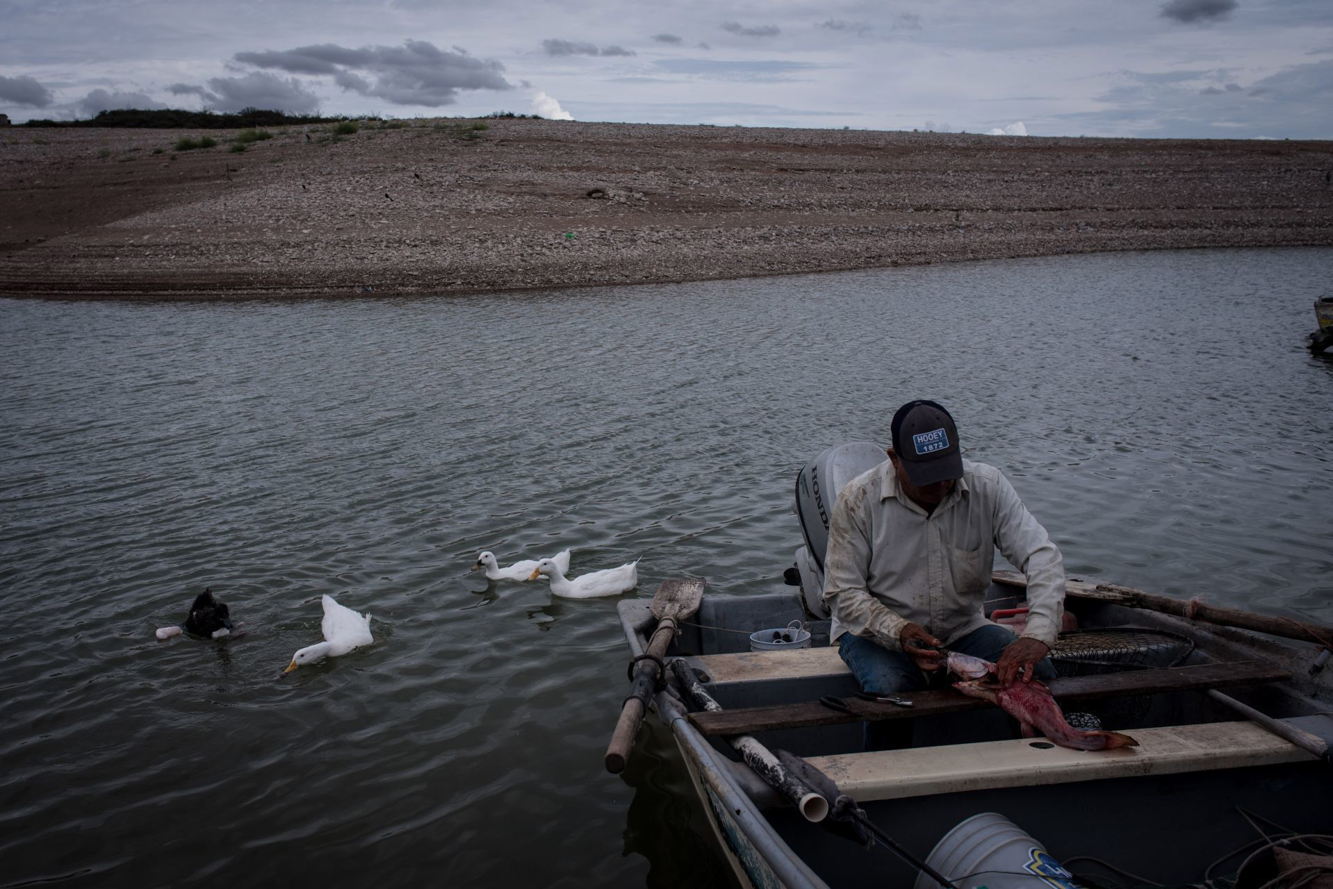 El pescador Pedro quita la piel a su pesca después de su jornada. San Francisco de Conchos, Chihuahua, México. El 18 de septiembre de 2020.