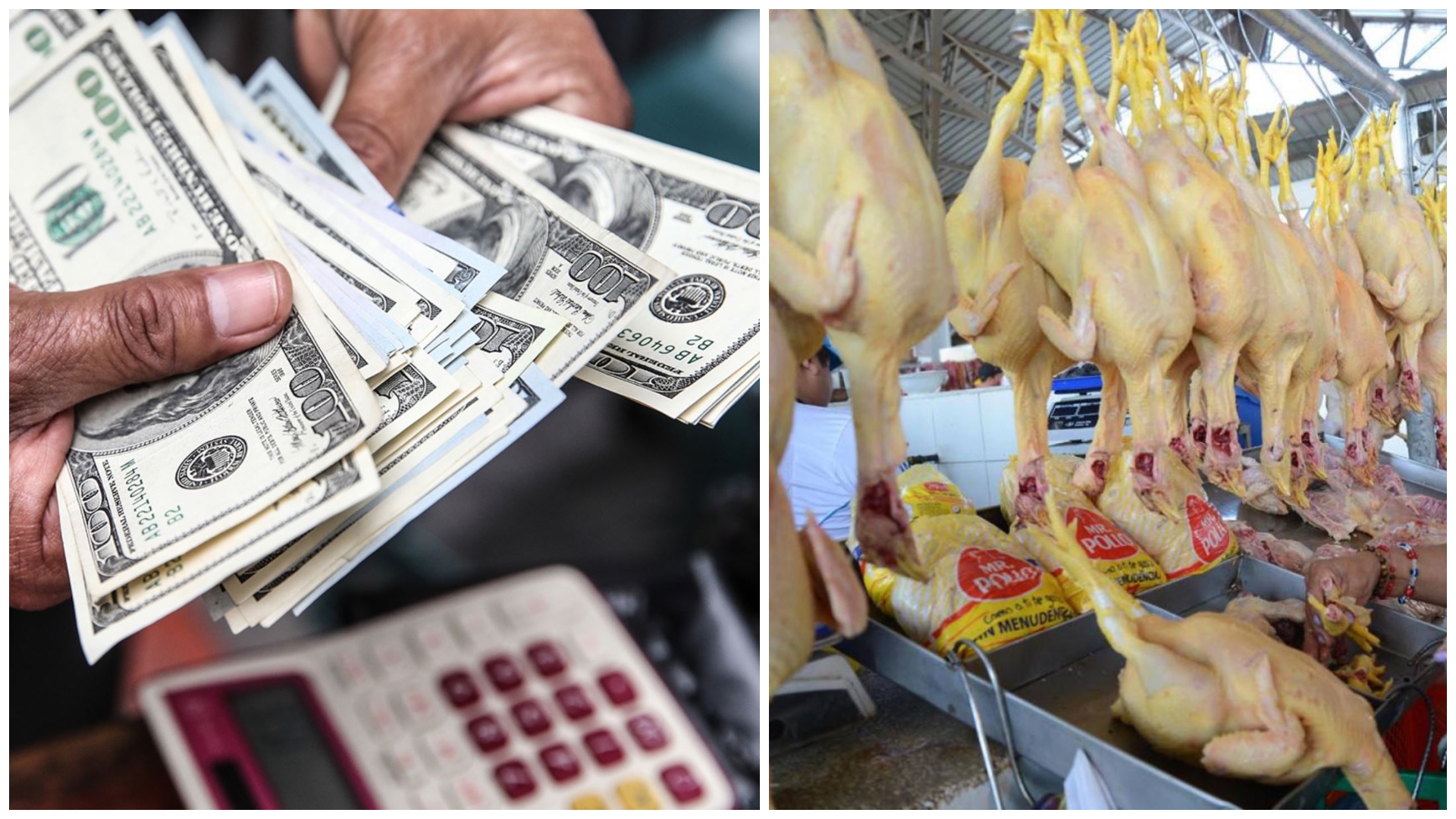 El precio del pollo se ve impactado por el tipo de cambio, dado que se importa maíz para la alimentación de las aves. | Andina