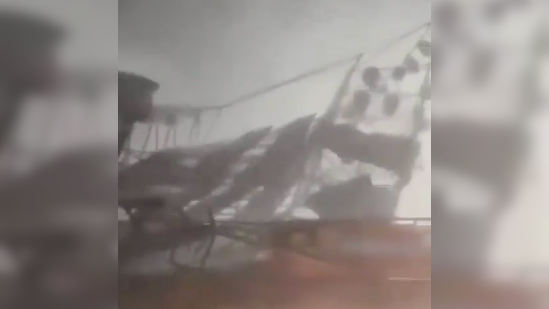 Una figura de la Fórmula 1 destacó la actuación de Franco Colapinto en Alpine: “Puso a Gasly bajo presión”