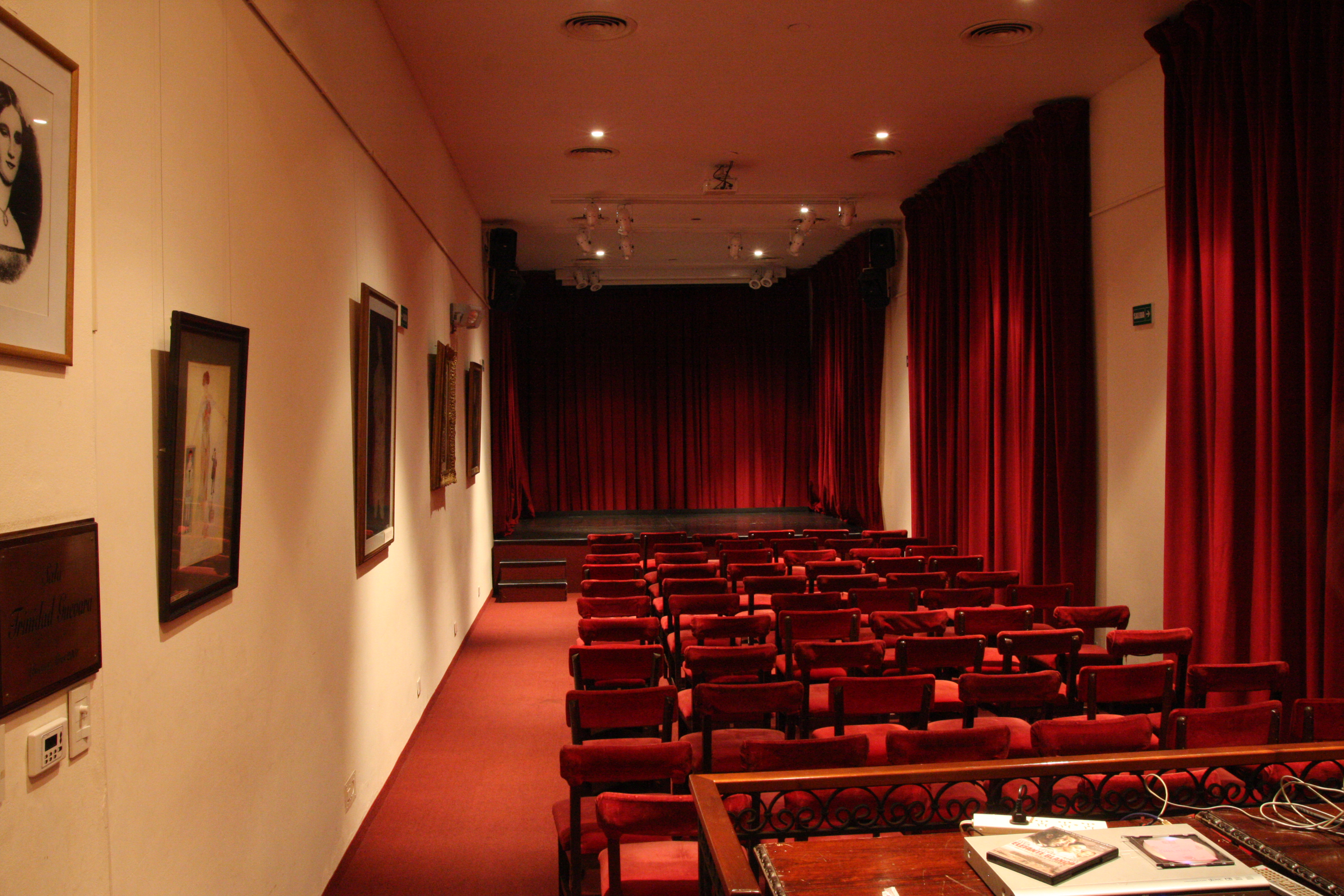 La sala Trinidad Guevara tiene capacidad para 50 personas, y se destinó para ser usada por el Instituto Nacional de Estudios de Teatro (INET), cuya misión es fomentar y estimular estudios e investigaciones de la literatura dramática, del arte escénico y de las técnicas correspondientes a la realización del espectáculo teatral
