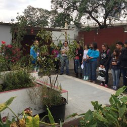 El primer jardín se plantó en 2014 en la FES Iztacala. (Foto: María del Coro Arizmendi/Sitio Weebly).