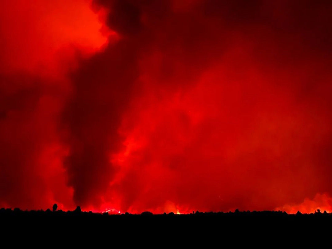 El Gobierno designó a Marcelo Nachón como titular del Ente Regulador del Gas