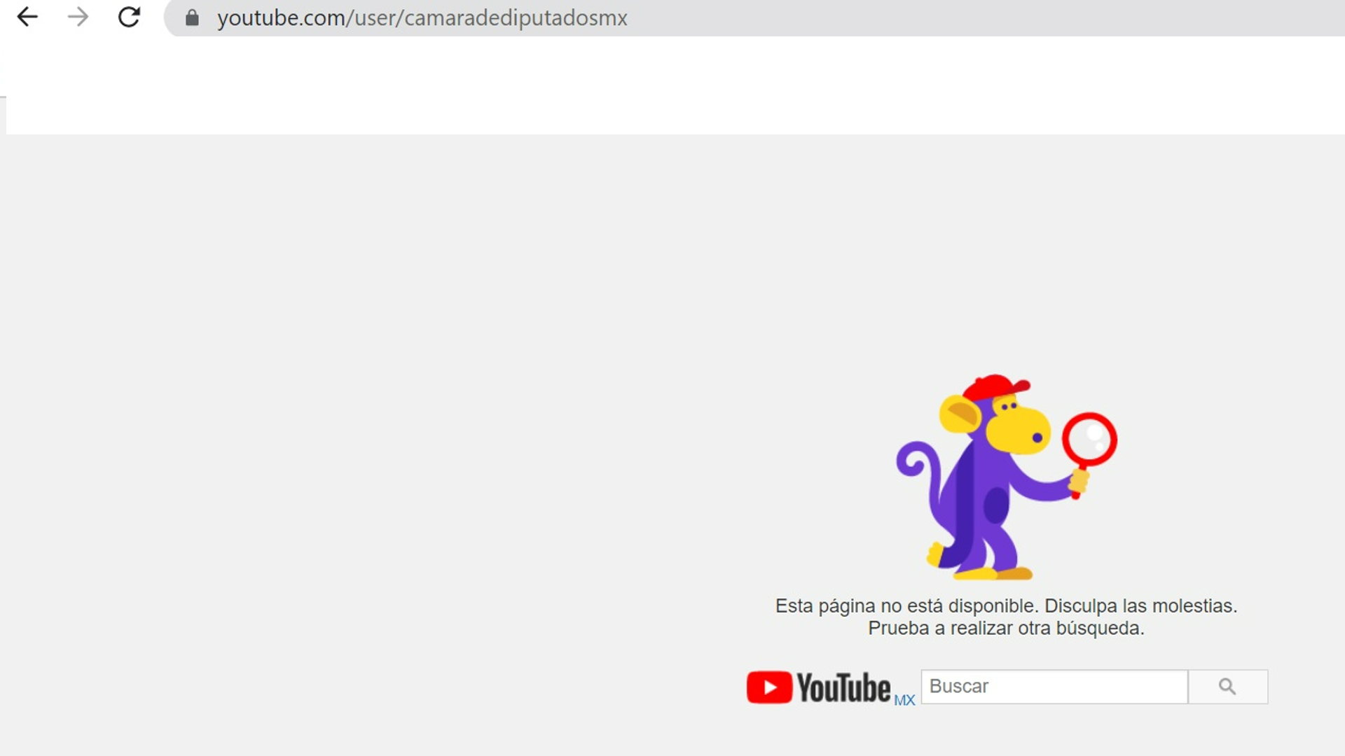 Desapareció el canal de la Cámara de Diputados en YouTube (Foto: YouTube)