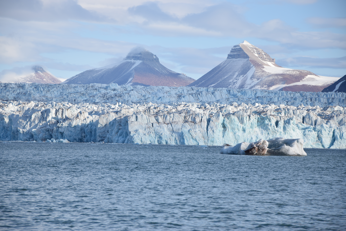 Es probable que los futuros aumentos en el índice de amplificación del Ártico sean menores a medida que disminuya la diferencia de temperatura entre el Ártico y los trópicos ( CREDIT: Sara Giansiracusa)