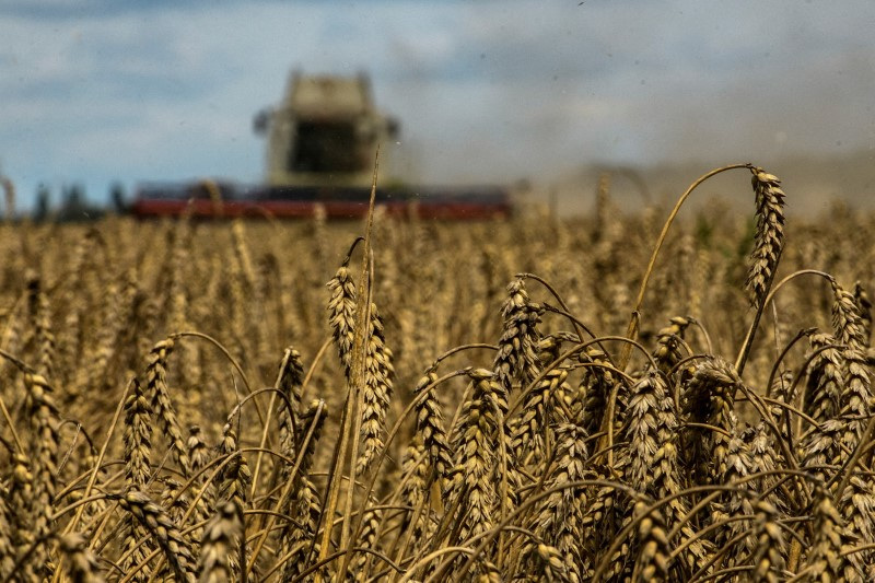 Una cosechadora recoge trigo en un campo cerca del pueblo de Zghurivka, en medio del ataque de Rusia a Ucrania, en la región de Kiev, Ucrania. 9 de agosto de 2022. REUTERS/Viacheslav Musiienko/Archivo