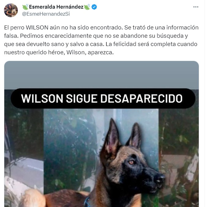 La senadora Esmeralda Hernández pidió que encuentren al perro Wilson cuanto antes
