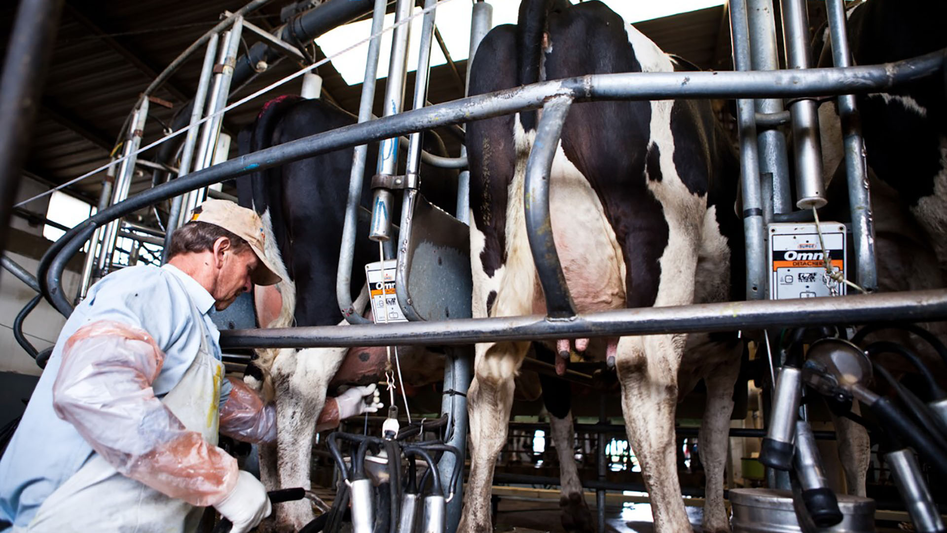 Desde CRA propone la institucionalización del mercado lacteo