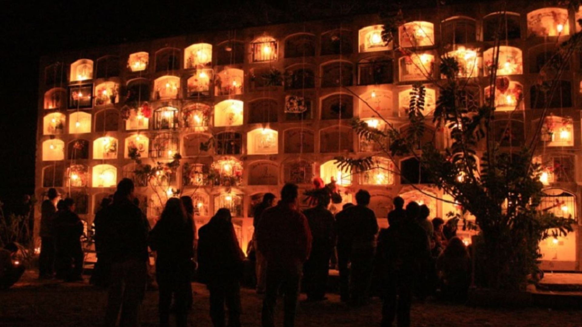 Tragedia en Pehuajó: un carnicero chocó de frente contra un camión de gas licuado y murió en el acto