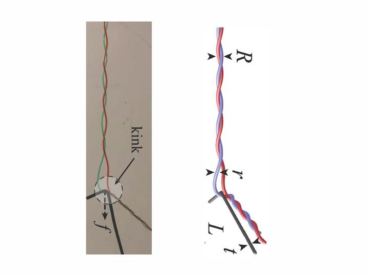 Los principios matemáticos del cepillado desarrollados por Plumb-Reyes, Charles y Mahadevan fueron utilizados recientemente por la profesora Daniela Rus y su equipo en el MIT para diseñar algoritmos para el cepillado del cabello por parte de un robot (Harvard SEAS)