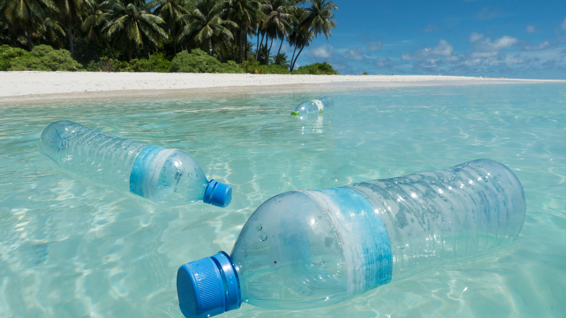 El plástico atenta también contra la vida marina (Gettyimages)