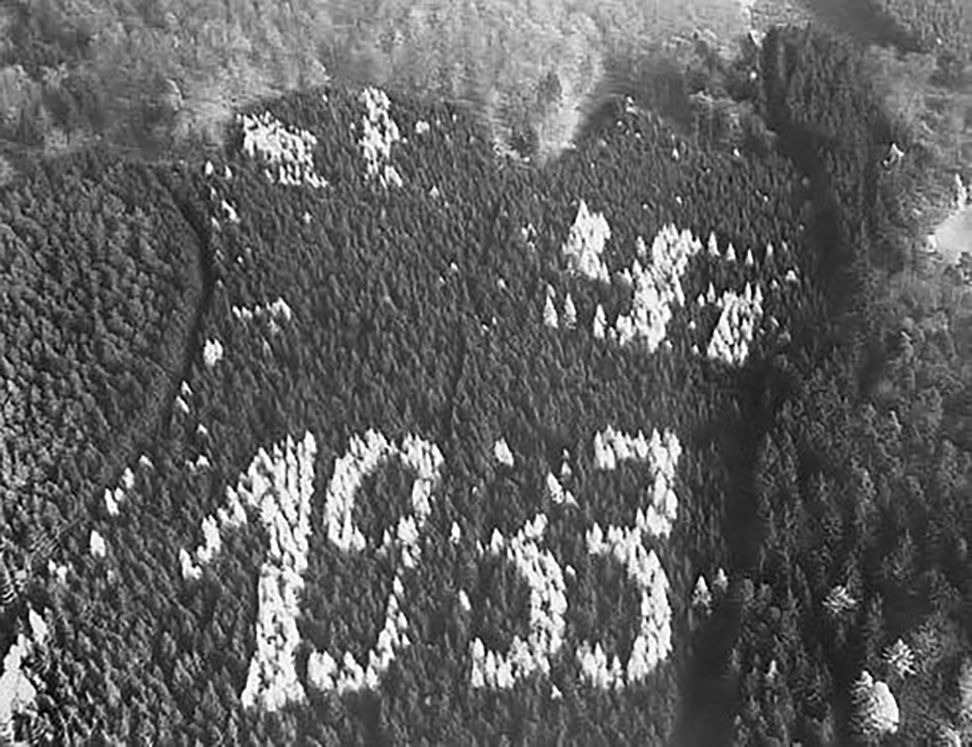 En 1933 en Asterode, Hesse, Alemania, un guardabosques descubrió un "1933" plantado con alerces y una esvástica en la ladera sur de un bosque de abetos. La monstruosidad se mantuvo sin cambios hasta que los ocupantes estadounidenses se quejaron ante el gobierno estatal en la década de 1960 cuando vieron los símbolos durante los vuelos de reconocimiento