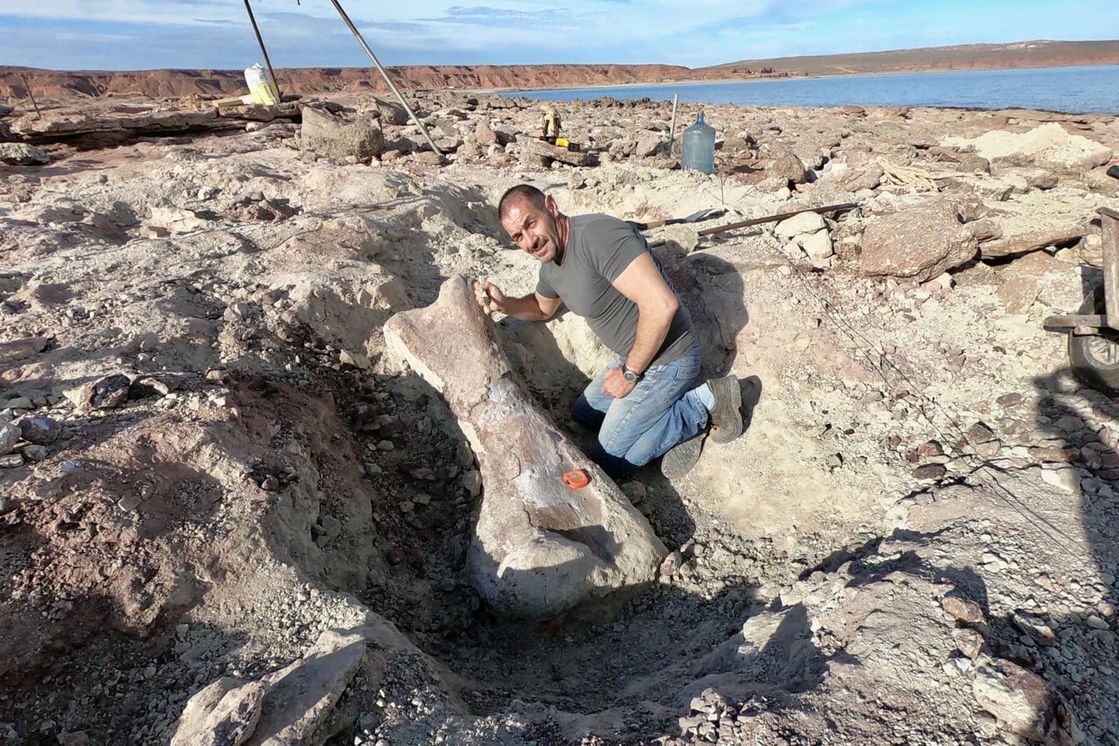 Pablo Calvo posa con restos del dinosaurio en Los Barreales (Twitter)