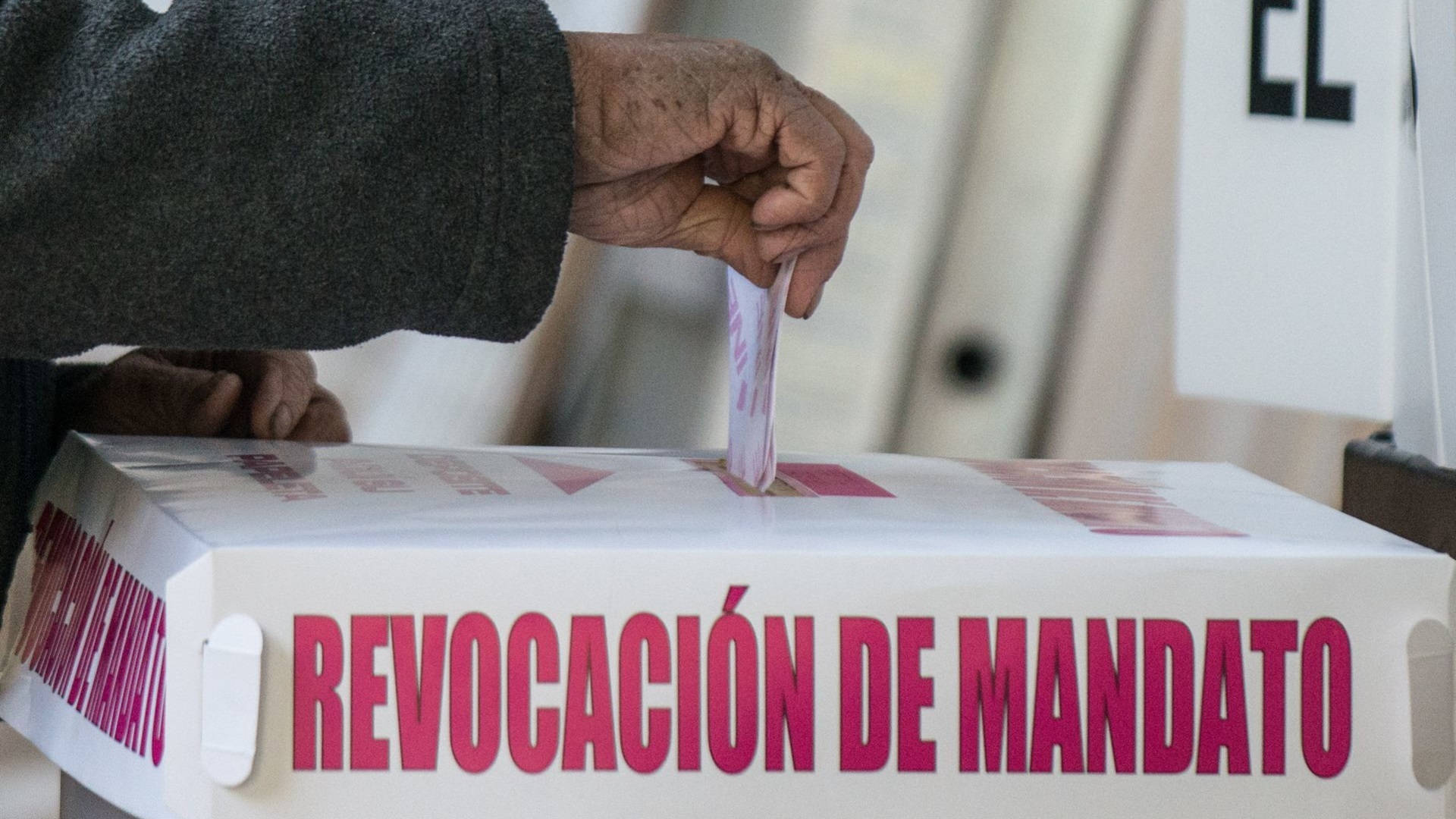 Por qué la Constitución prohíbe la revocación de mandato en la misma fecha  que las elecciones - Infobae