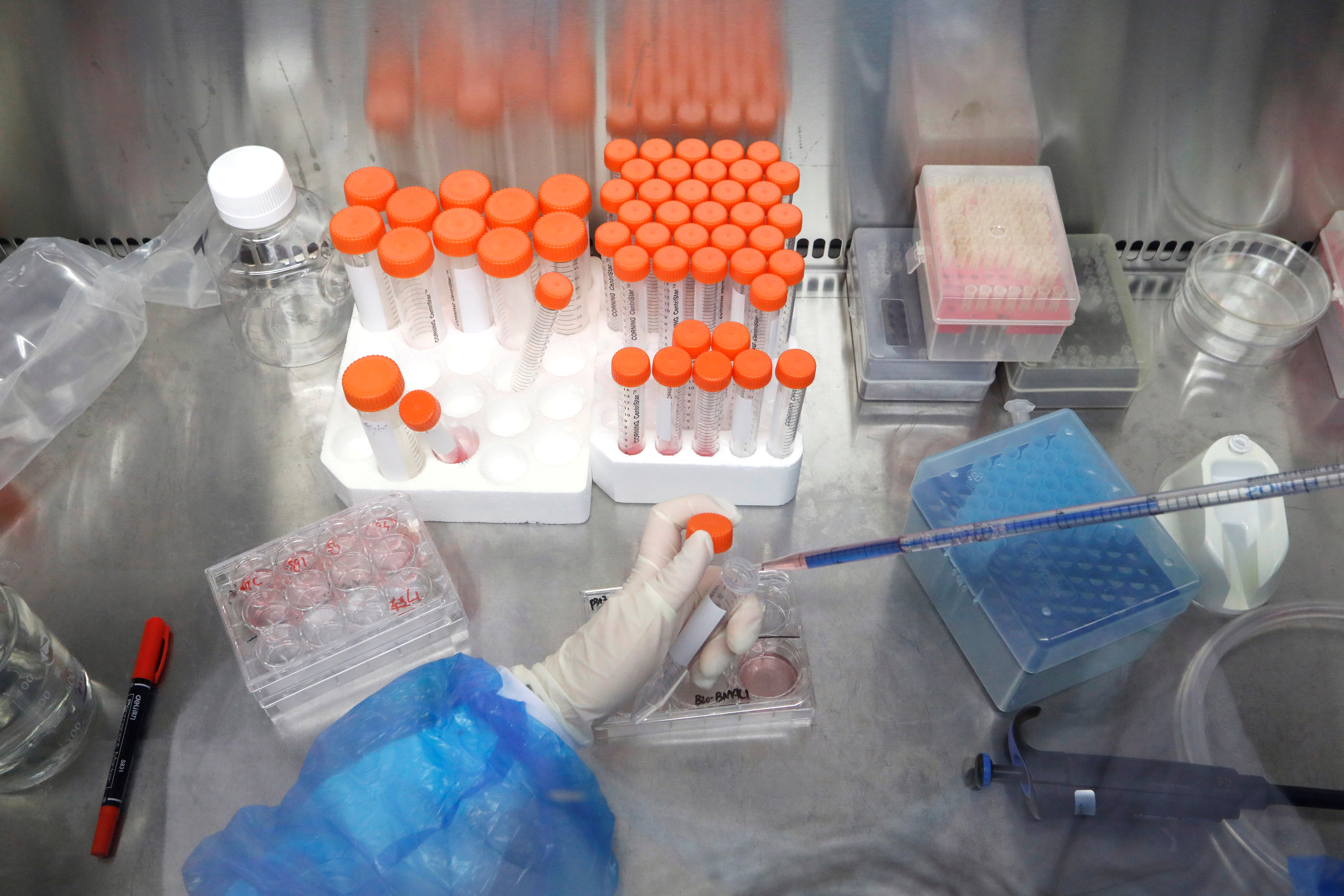  Cuando los investigadores quieren estudiar o alterar genéticamente virus, necesitan mantenerlos vivosREUTERS/Tingshu Wang
