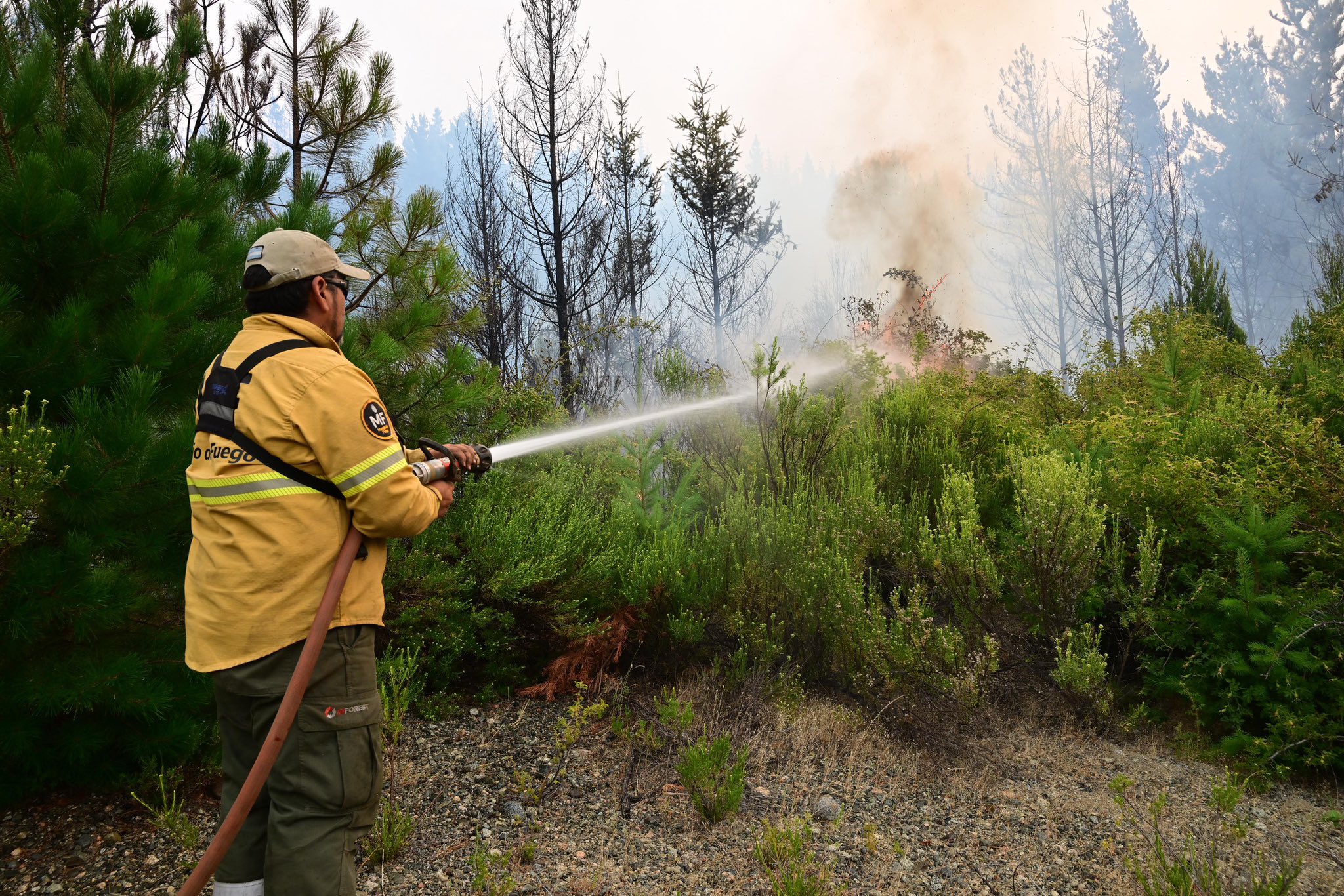 Milei agradeció a quienes combaten los incendios en Chubut: “Nada más heroico que arriesgar su vida para salvar a otros”