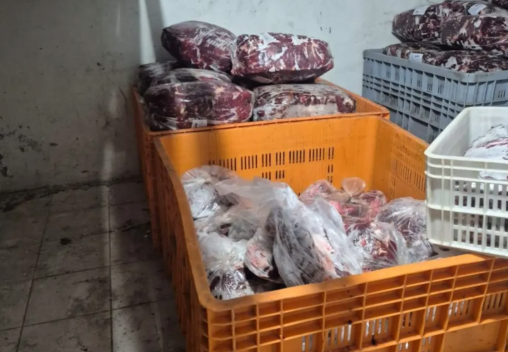 Sin recorrido y con la marca encima: el espectacular gol de Nicolás Barros Schelotto en el triunfo de Gimnasia ante Banfield