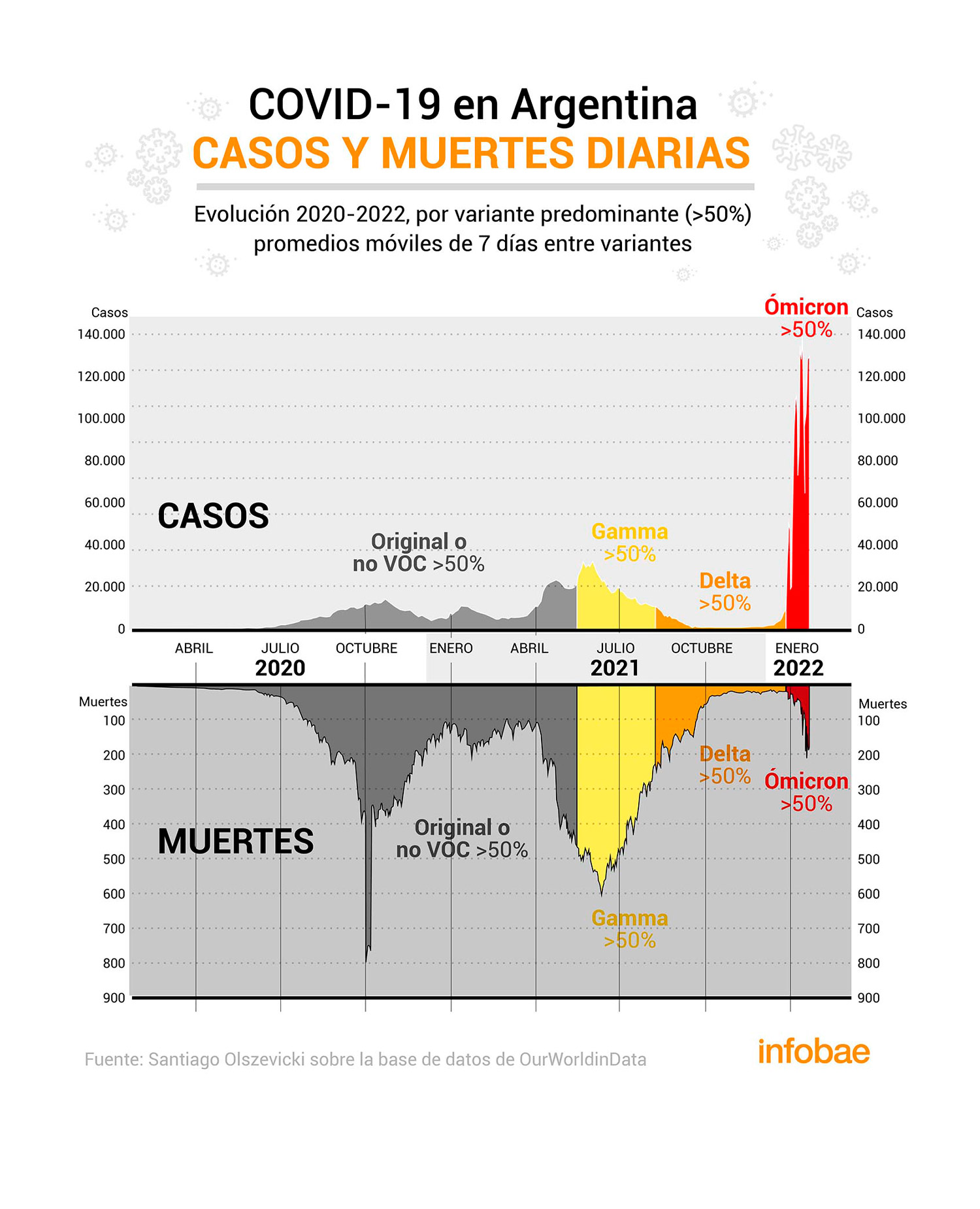 Cómo fueron variando los casos de COVID-19 y las muertes según la variante del coronavirus que predominara en Argentina desde el inicio de la pandemia