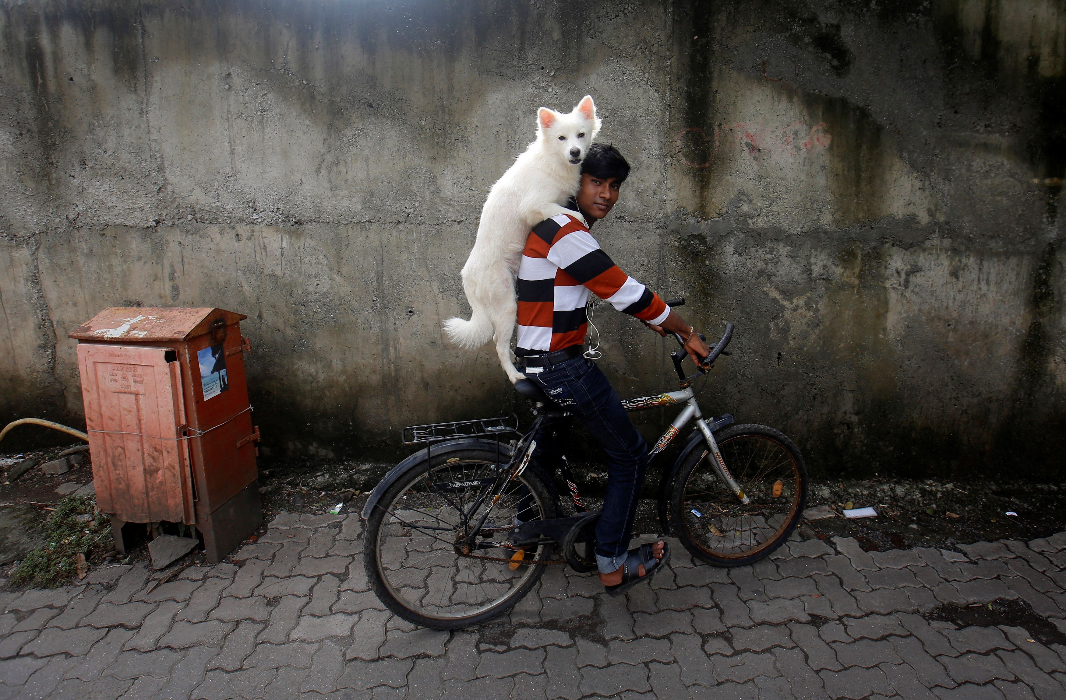 Un hombre monta en bicicleta mientras lleva a su perro sobre los hombros en Mumbai el 9 de julio de 2013.