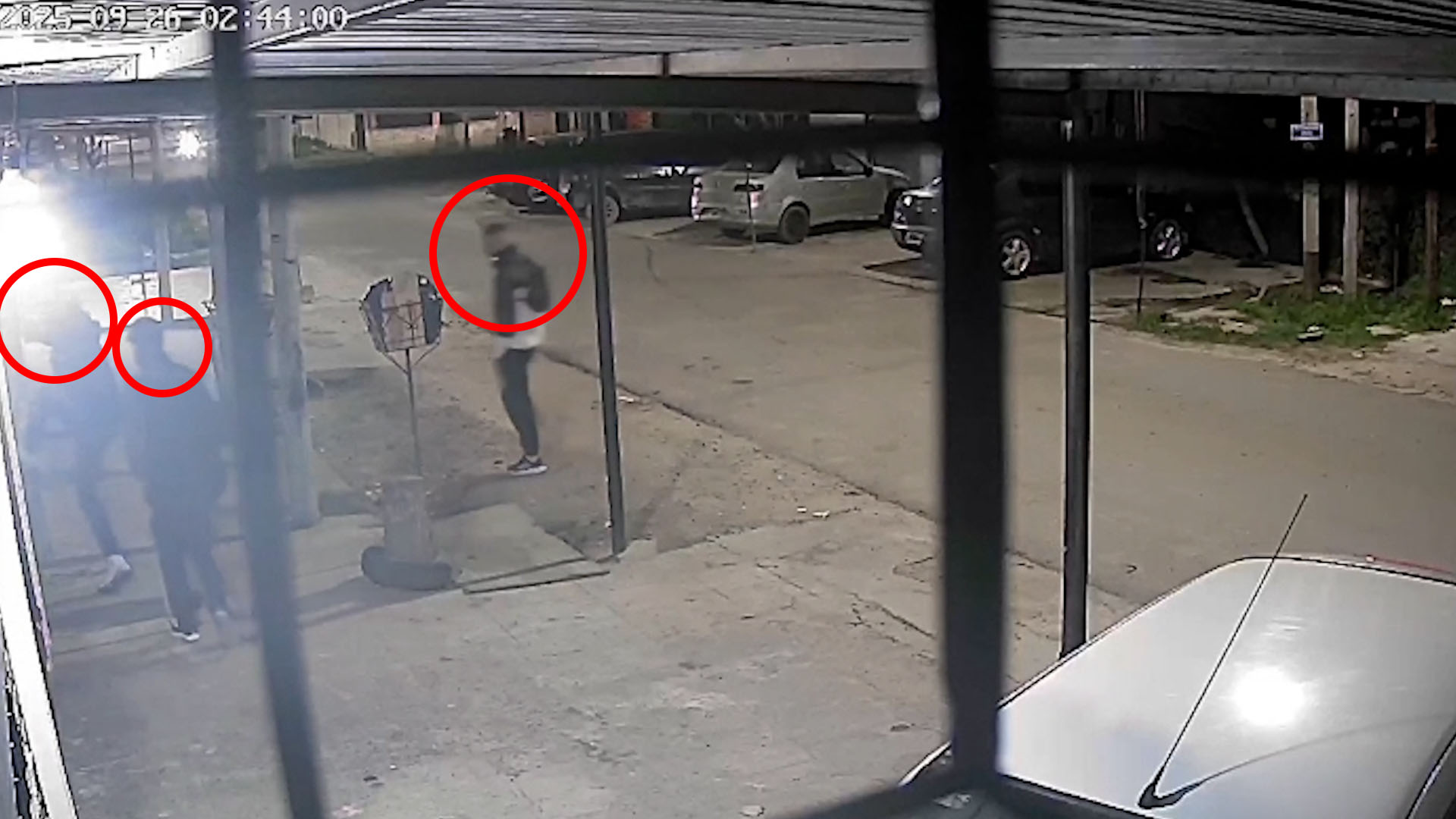 “Megacampaña”: la cosecha de trigo se encamina a marcar un récord histórico