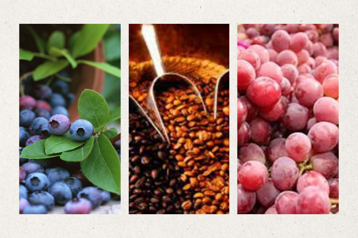 Arándanos, café y uvas fueron los principales productos de la agroexportación del año pasado.