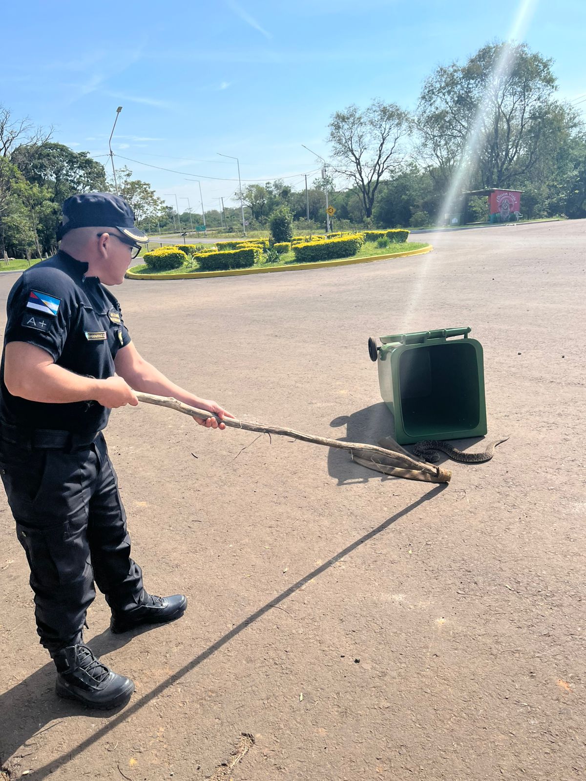 Encontraron a una yarar&aacute; de la cruz en Misiones y la Polic&iacute;a la rescat&oacute;: fue liberada en una reserva natural