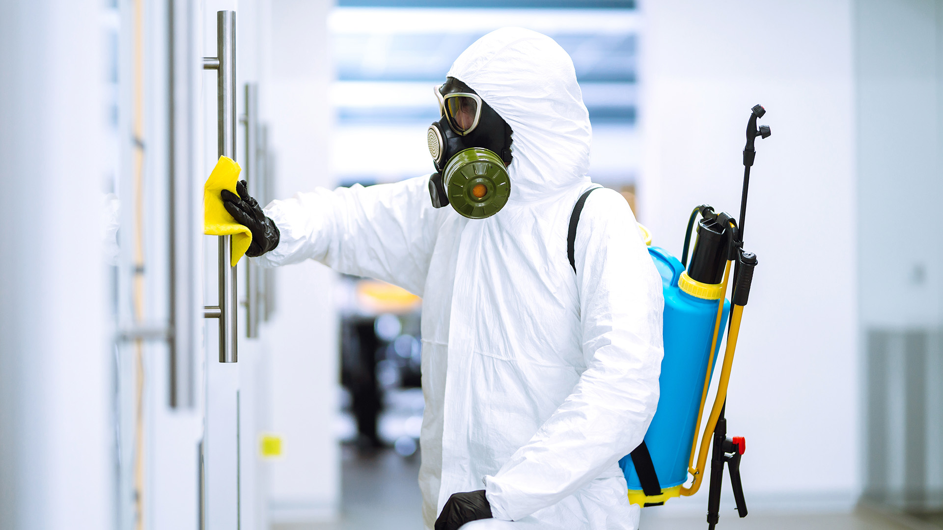 La nueva realidad trae consigo nuevos métodos de limpieza, desinfección y también trae nuevos métodos de prevención como son los coatings antimicrobianos (Shutterstock)