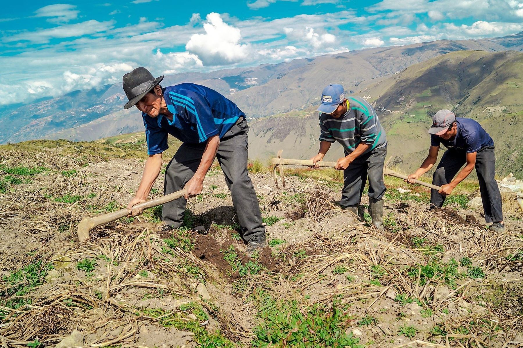 Bono Wanuchay beneficiará a más de 65 mil agricultores de todo el Perú
