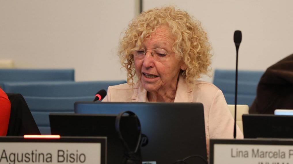 Fentanilo mortal: la ex jefa de la ANMAT alegó "desconocimiento técnico" y defendió la actuación del Ministerio de Salud 