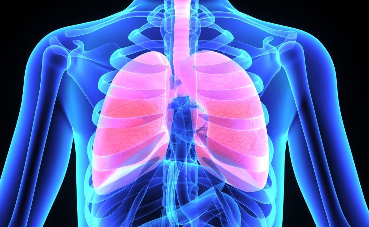 La altas concentraciones de ozono pueden ocasionar daño en los pulmones, sobre todo en personas con enfermedades respiratorias crónicas.  (foto: Tododisca)