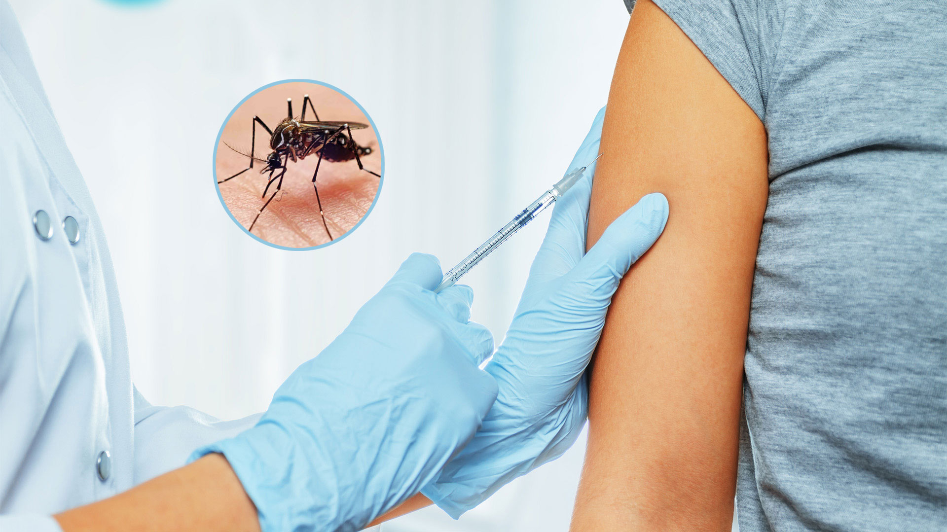 La ANMAT aprobó la vacuna contra el dengue: cuándo llegará al país y cómo  será su aplicación - Infobae