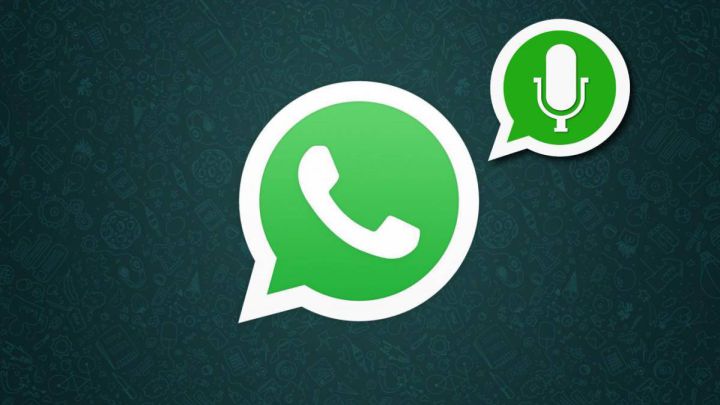WhatsApp: tres funciones de las notas de voz que pocos conocen