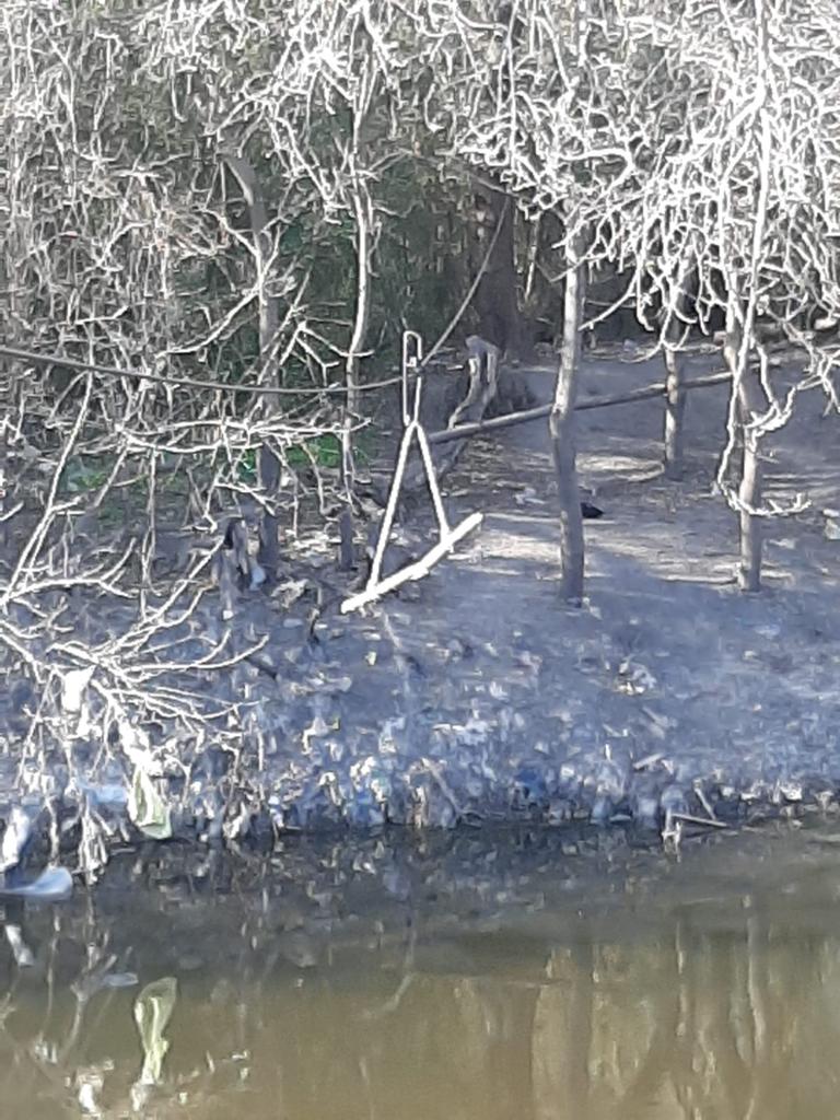 Los Crímenes Del Río Matanza Hallaron Un Cuerpo Acribillado A Balazos Y Con Una Bolsa De Nailon 1914