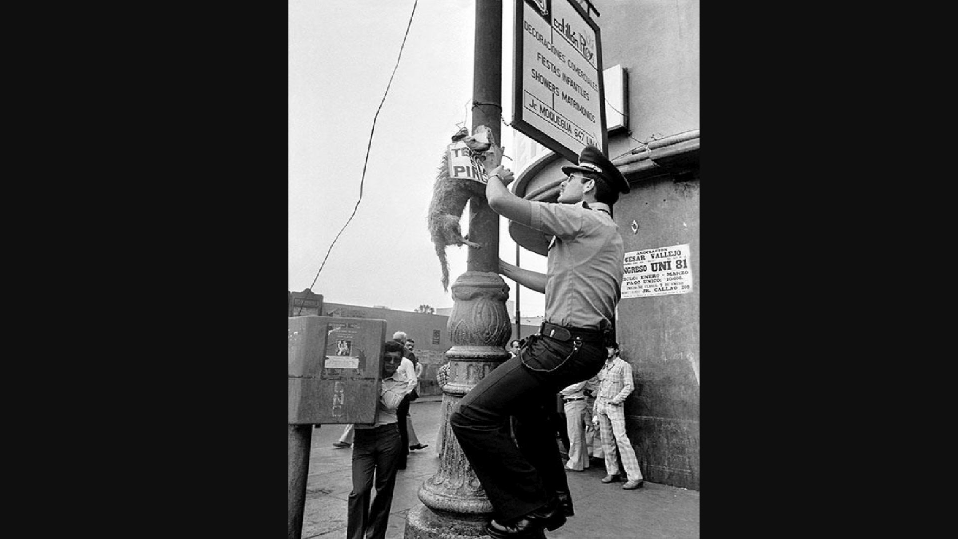 Un policía desata a uno de los siete perros que aparecieron ahorcados y apaleados en las calles de Lima (Perú) la mañana del 26 de diciembre de 1980 (Caretas)