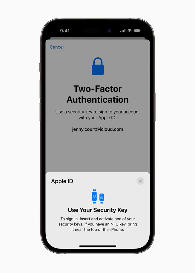 Apple-ID und Sicherheitsschlüssel für die Zwei-Faktor-Authentifizierung.  (Manjana)