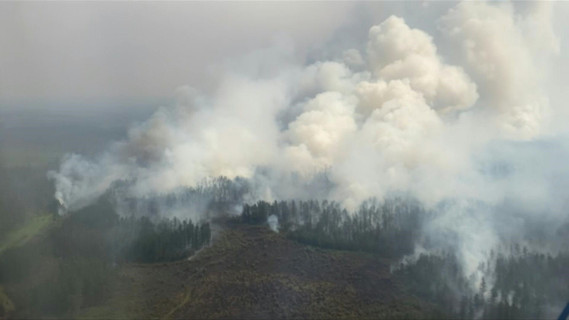 Los incendios forestales se duplicaron en todo el mundo en los últimos 20 años, en particular en los bosques boreales, "probablemente" a causa del cambio climático, según un estudio publicado este miércoles.
