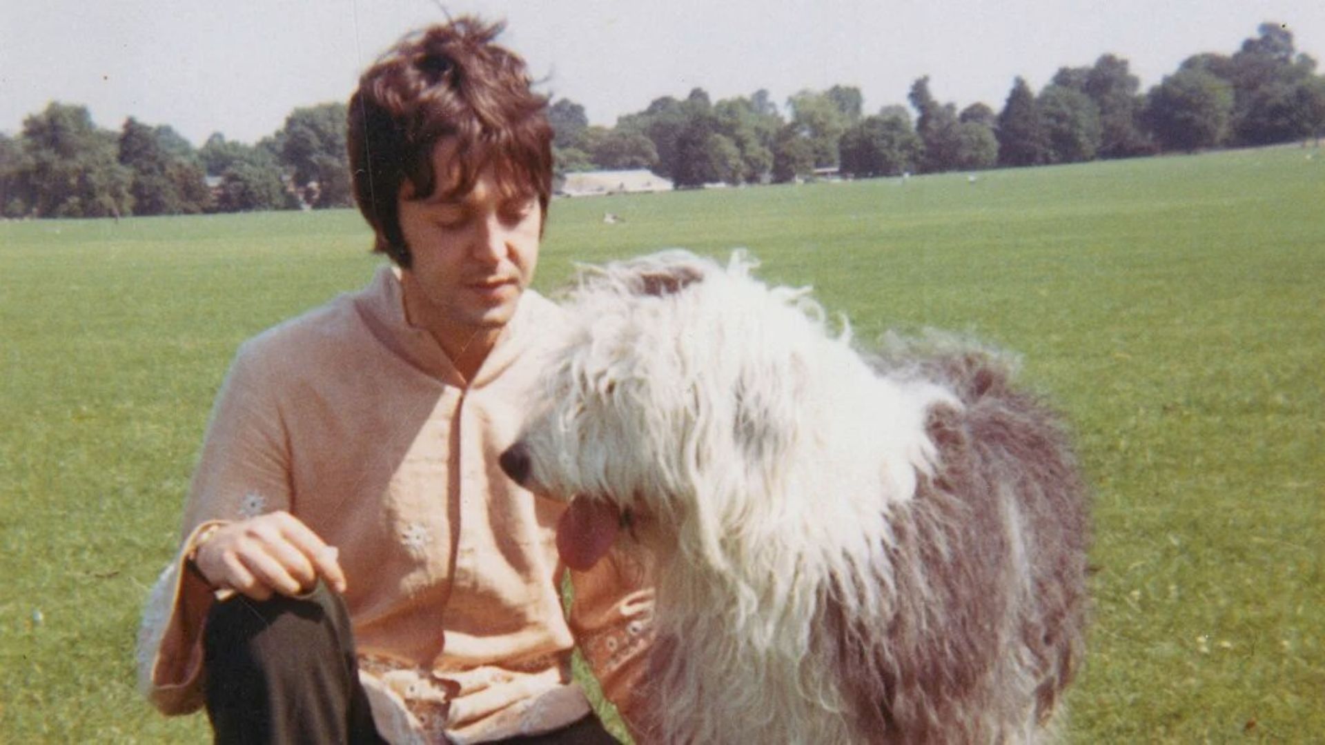 La mascota que inspiró a Paul McCartney a escribir “Martha, my dear”