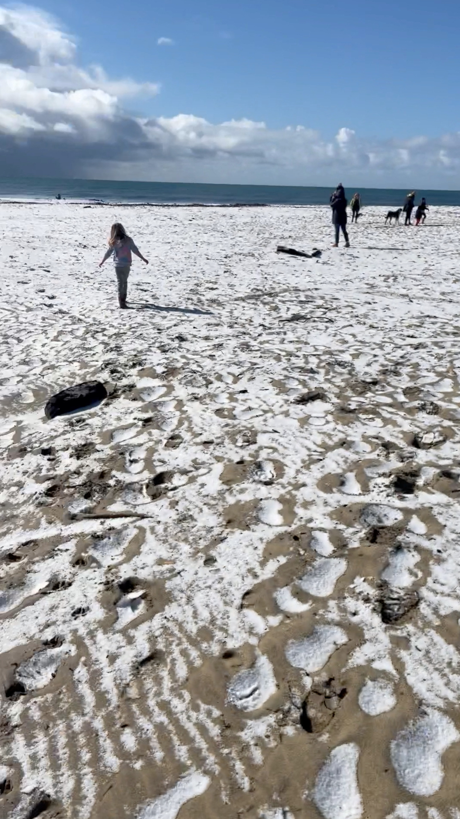 La gente camina en una playa cubierta de graupel, en Santa Cruz (KAREN KRENIS/via REUTERS)
