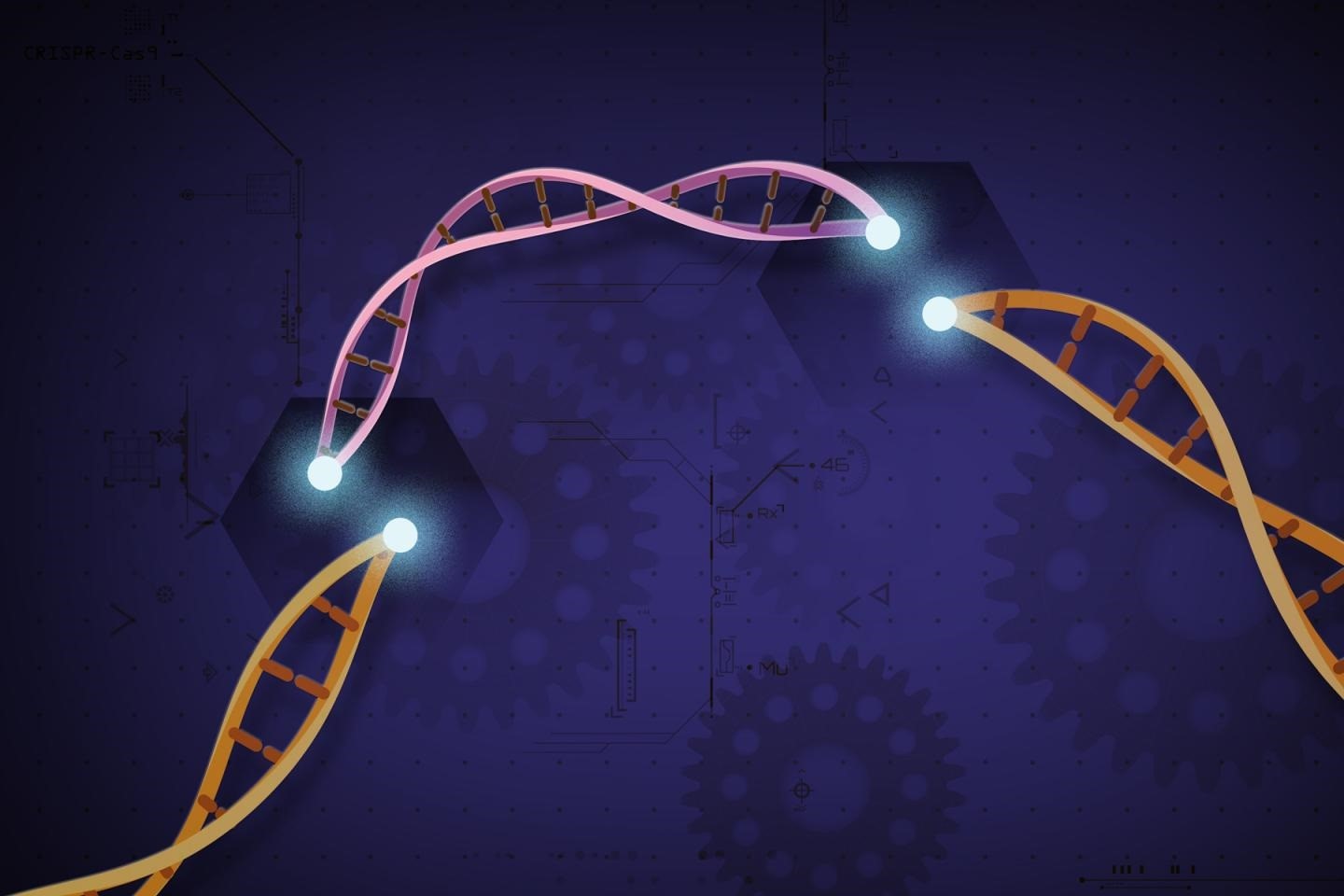 Desde que llegó a la escena, la técnica de edición de genes CRISPR ha sido promocionada como un cambio de juego para el tratamiento de enfermedades (Europa Press)