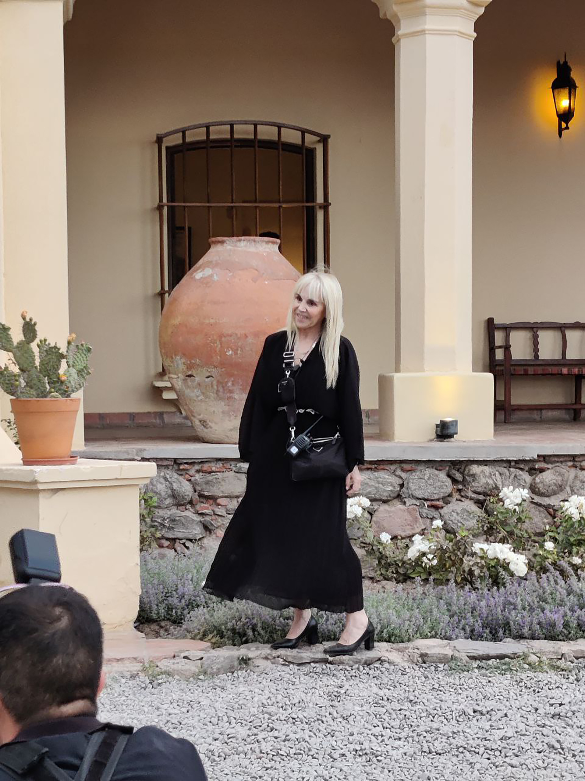 Claudia Villafa&ntilde;e, la wedding planner