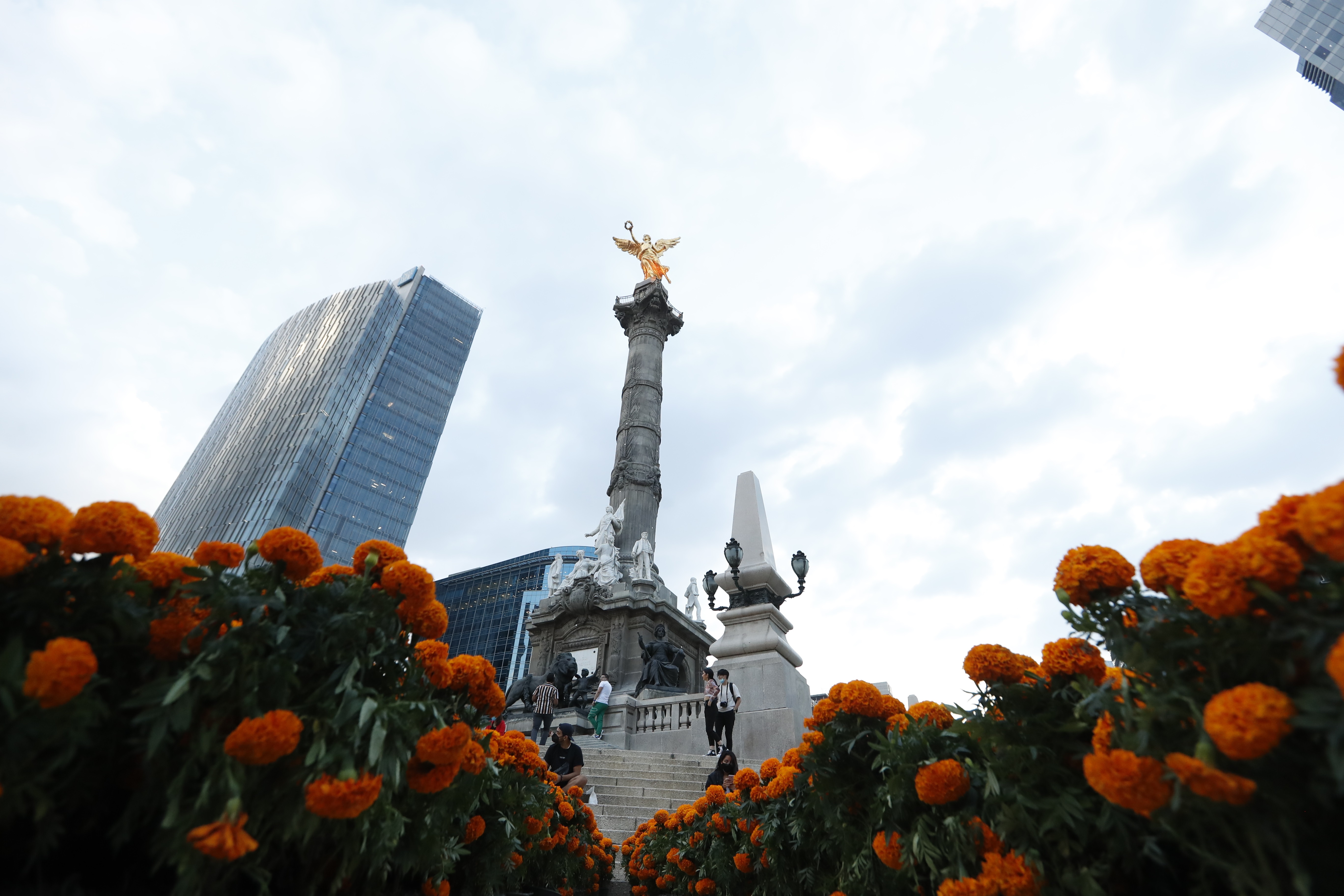 Día de Muertos: la CDMX fue adornada con 260,000 flores de cempasúchil -  Infobae