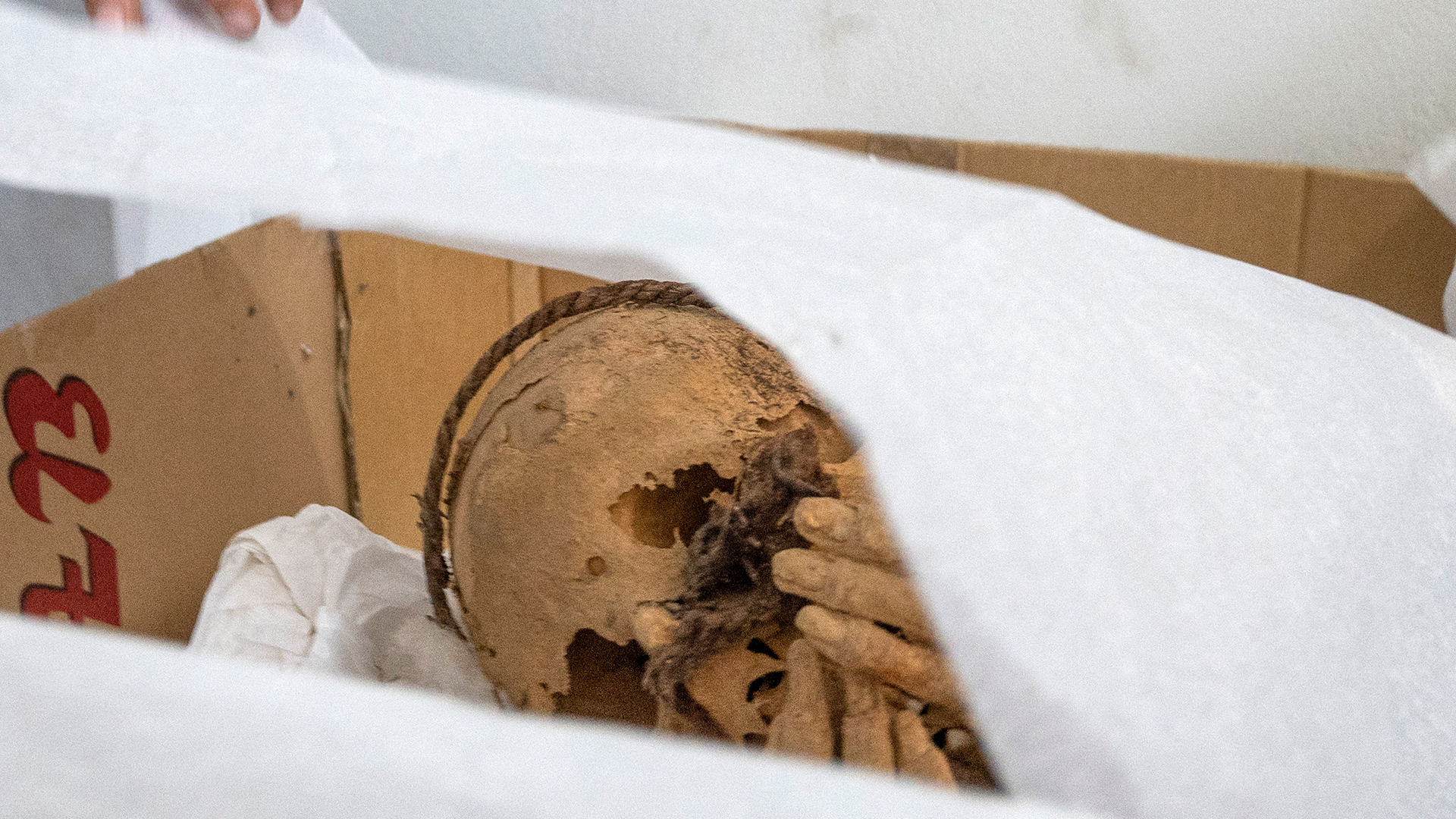 Todo lo que debes saber de la momia de 1,200 años hallada en Cajamarquilla y que ha causado asombro en arqueólogos del Perú