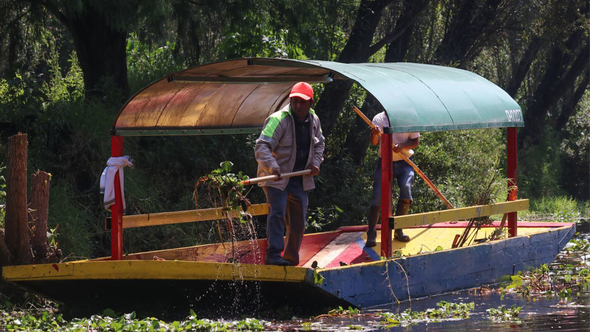 Arrancó la Mega jornada de limpieza en los canales de Xochimilco. La meta es limpiar más de 100 kilómetros de canales y apantles, de los 186 kilómetros que conforman la zona chinamprera (Foto: Cuartoscuro)