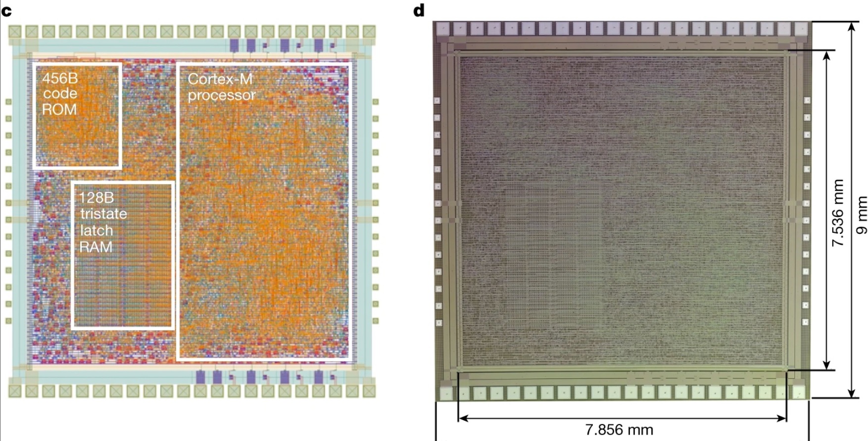 Cómo es el novedoso microchip que podría usarse para todo tipo de electrónicos flexibles